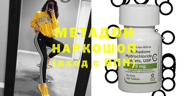прущие грибы Абаза