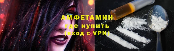 прущие грибы Абаза