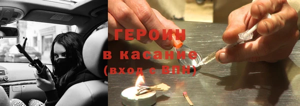 прущие грибы Абаза
