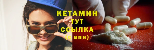 прущие грибы Абаза