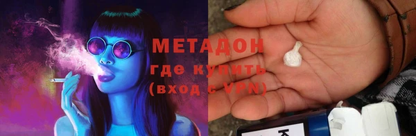 прущие грибы Абаза