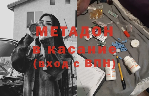 прущие грибы Абаза