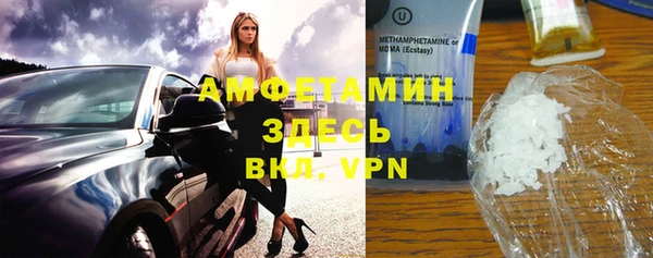 прущие грибы Абаза