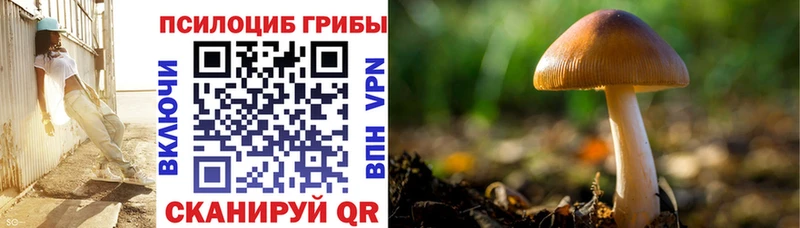 Галлюциногенные грибы MAGIC MUSHROOMS Красноперекопск