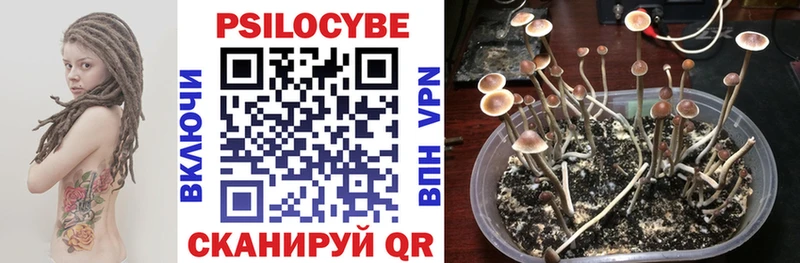Галлюциногенные грибы Psilocybe hydra как войти Красноперекопск продажа наркотиков