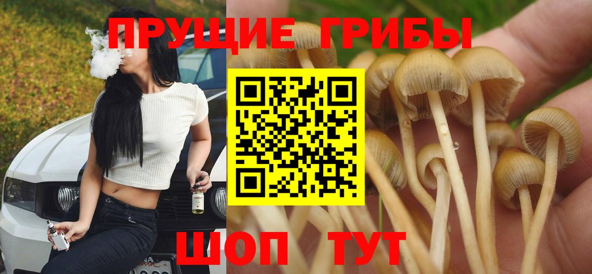 Псилоцибиновые грибы ЛСД Красноперекопск